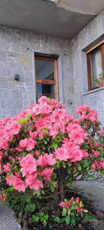 Villa La Serra Baveno Buitenkant foto